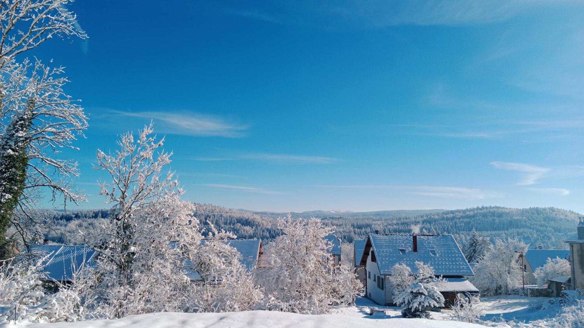 Gite Des Roches La Chaux-du-Dombief Exteriör bild